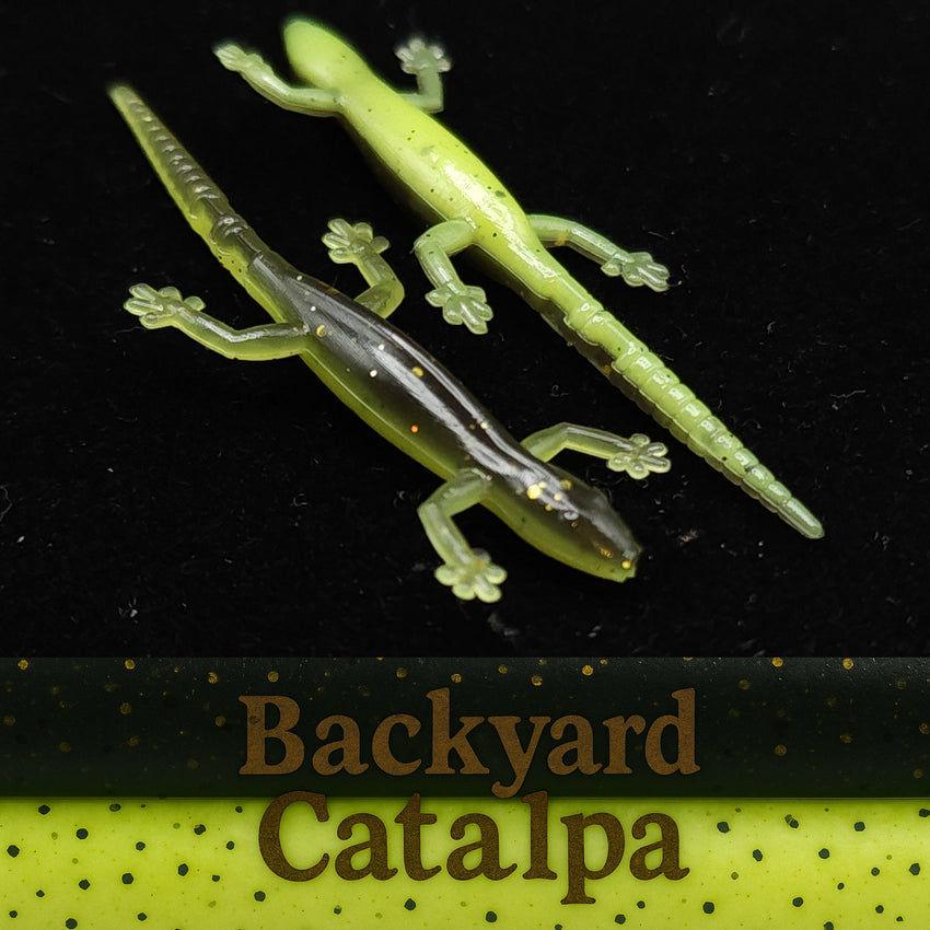 2" Salamander "The Moss Dweller" 8 Per Pack