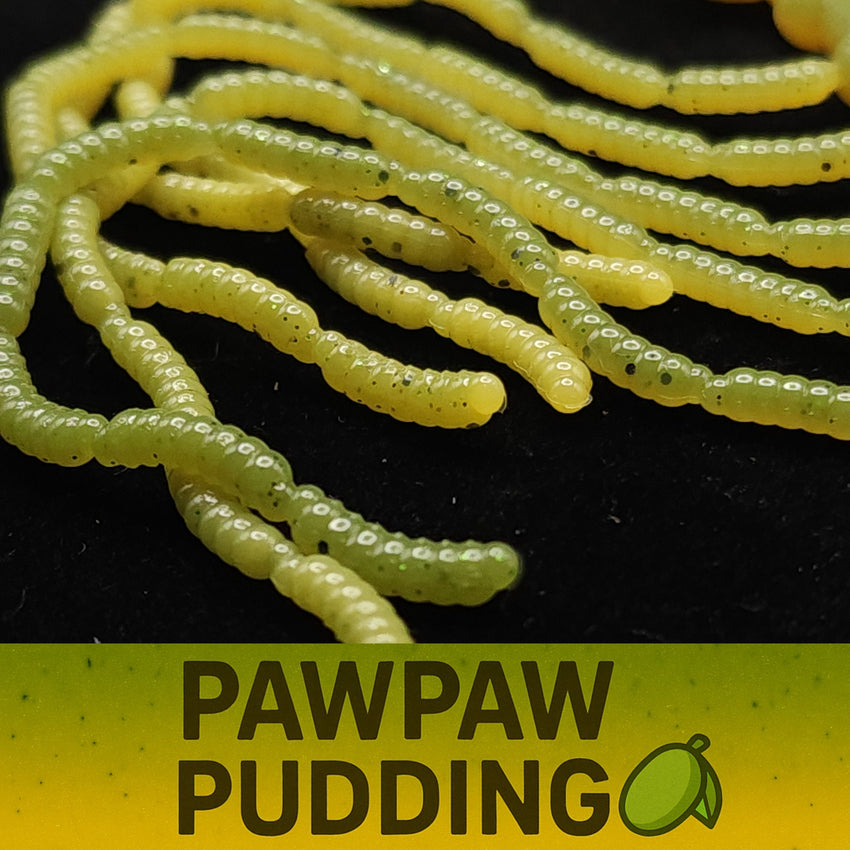 0.5" Inch Maggot Larvae "The Apple Maggot"
