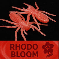 1" Micro Spider Bait "The Writing Spider"