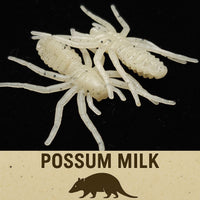 1" Micro Spider Bait "The Writing Spider"
