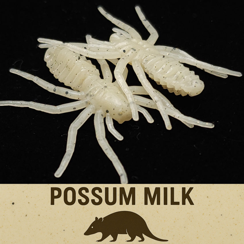 1" Micro Spider Bait "The Writing Spider"