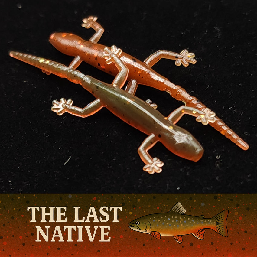 2" Salamander "The Moss Dweller" 8 Per Pack