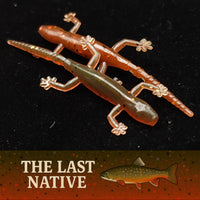 2" Salamander "The Moss Dweller" 8 Per Pack