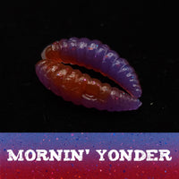 1" Waxworm "The Tater Bug" 8 Per Pack