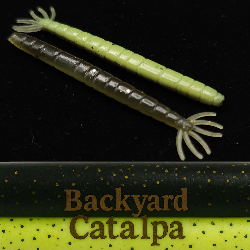 2" Crane Fly Larvae "Don't Touch It!" 8 Per Pack