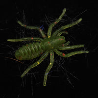 Hairy 1" Micro Spider Bait "The Writing Spider"
