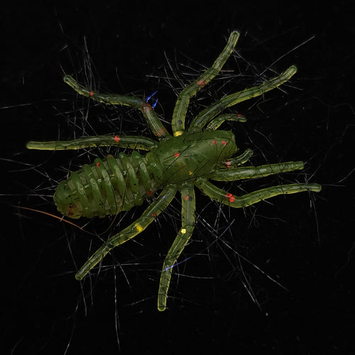Hairy 1" Micro Spider Bait "The Writing Spider"