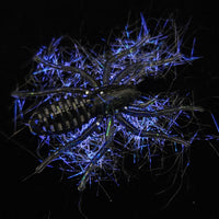 Hairy 1" Micro Spider Bait "The Writing Spider"