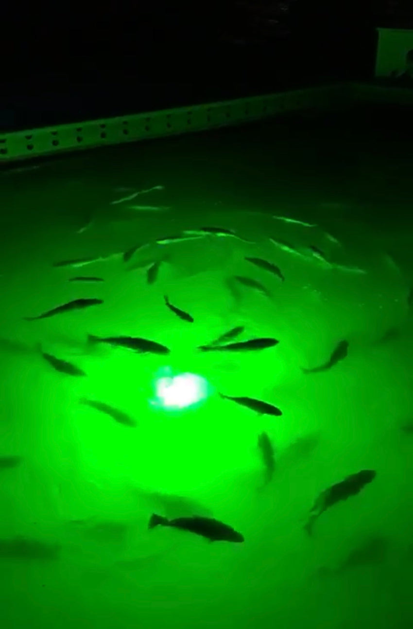 Super Mega Brite Underwater Light System (400 Watts)