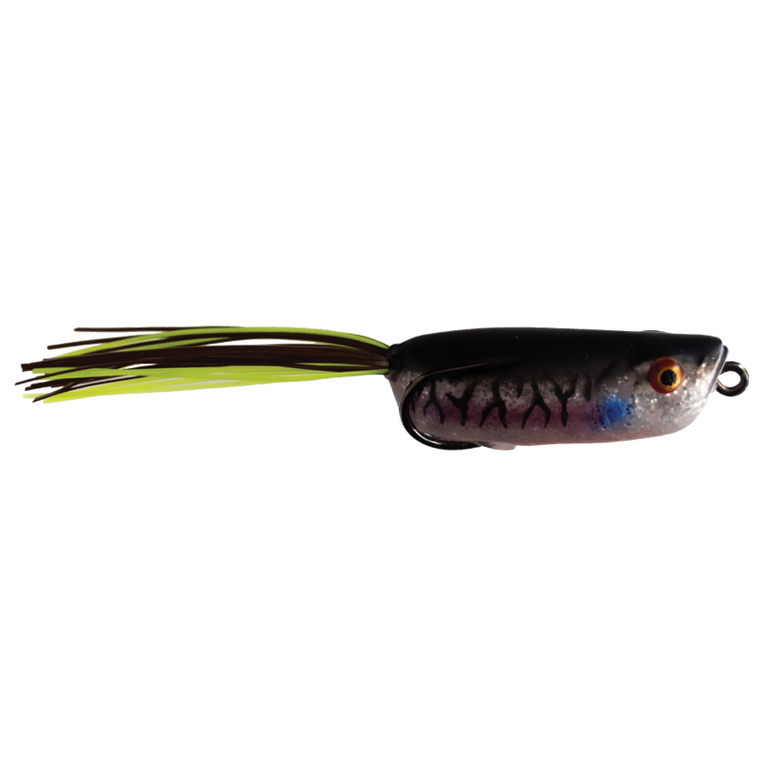 Bad Gill - Swamper Jr.