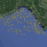 Steinhatchee & Appalachicola Fishing Spots - Big Bend Numbers