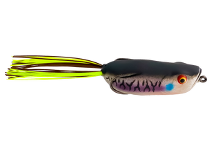 Bad Gill – Swamper