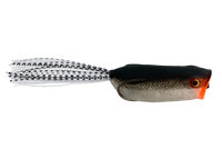 Bad Shad – Thumper