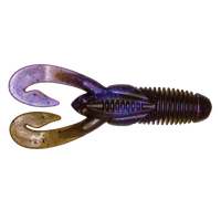 Lightnin' Craw - Candy Gill