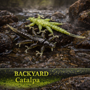 1.5" Inch Stonefly Larvae "The Morelkin"