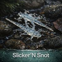 1.5" Inch Stonefly Larvae "The Morelkin"