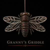 The Jarfly 1.5"x 2" |  1/8 oz | Floating Cicada | 3 Per Pack