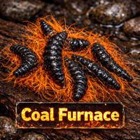 1" Hairy Waxworm "The Fuzz Grub" 8 Per Pack