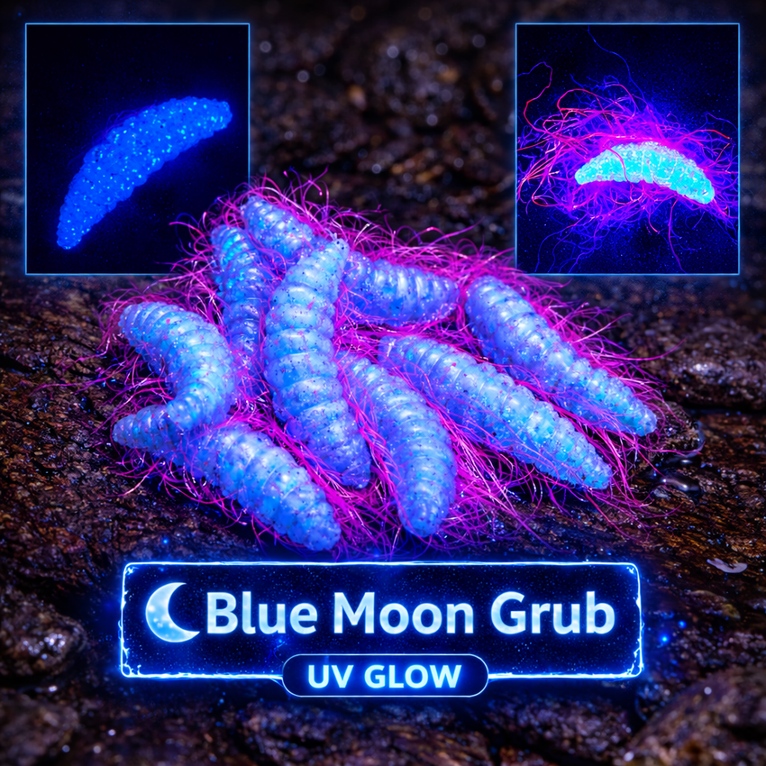 1" Hairy Waxworm "The Fuzz Grub" 8 Per Pack