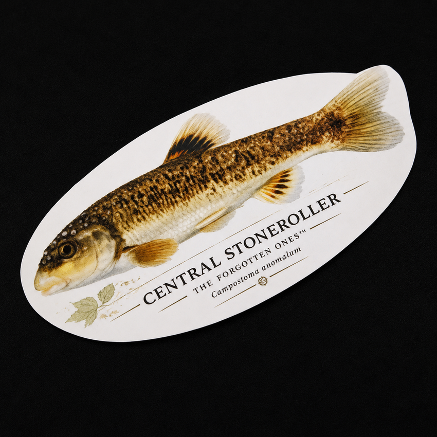 The Forgotten Ones™ — Appalachian Native Species Decals