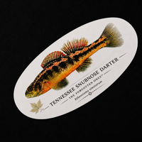 The Forgotten Ones™ — Appalachian Native Species Decals