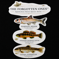 The Forgotten Ones™ — Appalachian Native Species Decals
