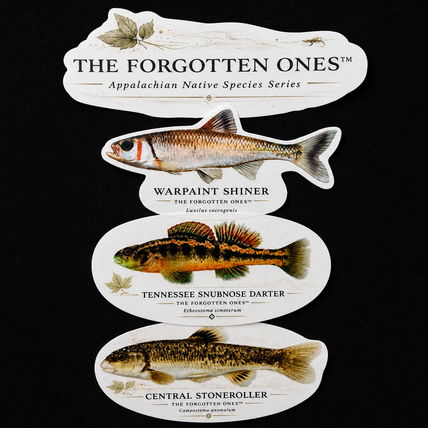 The Forgotten Ones™ — Appalachian Native Species Decals