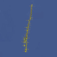 Elbow Fishing Spots - Deep Offshore Numbers