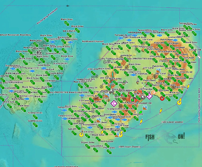 Dry Tortugas Fishing Spots - Numbers
