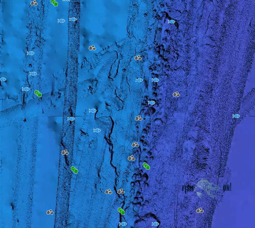 Miami Fishing Spots - Offshore Numbers