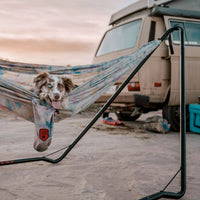 Hangout Hammock Stand