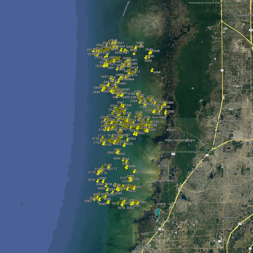 Hudson Fishing Spots - Hernando Nearshore