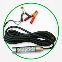 LED Drop Light 1000 (12V)