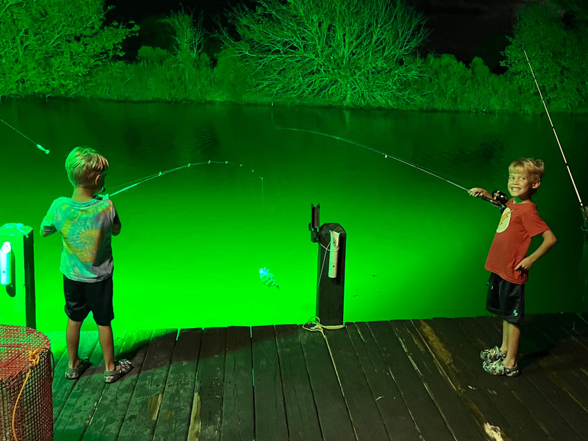 Super Mega Brite Underwater Light System (400 Watts)