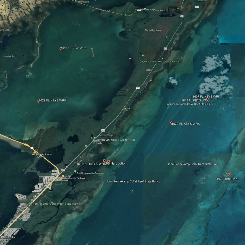 Islamorada Lobster Spots - Lobster Numbers