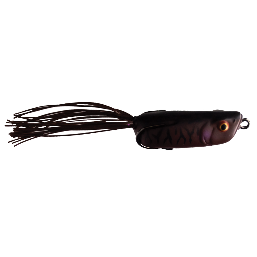 Jelly Toad - Swamper Jr.