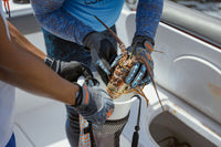 Lobster Hotel Catch Bag