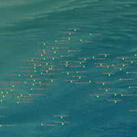 Key West Fishing Spots - Coastal Numbers