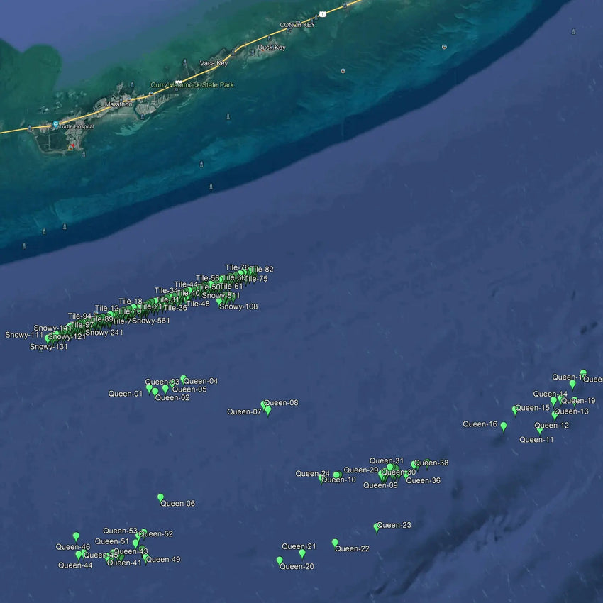 Marathon Fishing Spots - Offshore Deep Drop Numbers