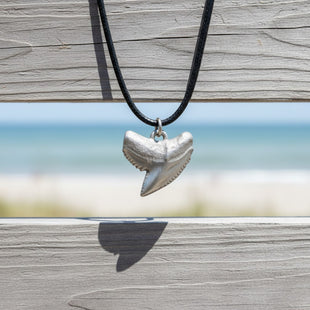 Shark Tooth Necklace – “Emma” Tiger Shark - Pewter on Cord