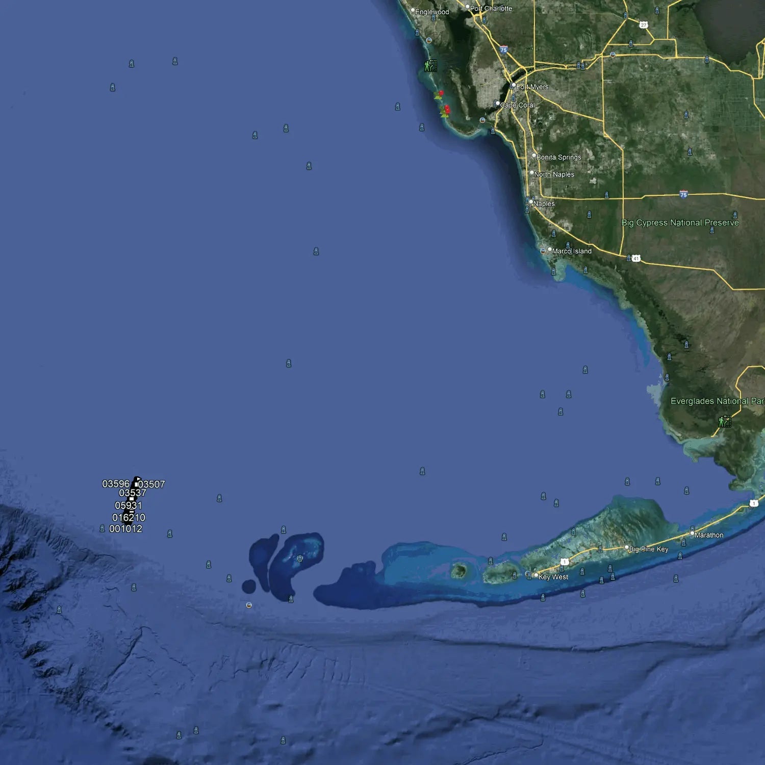 Pulley Ridge Fishing Spots - GPS Maps & Numbers – Florida Angler
