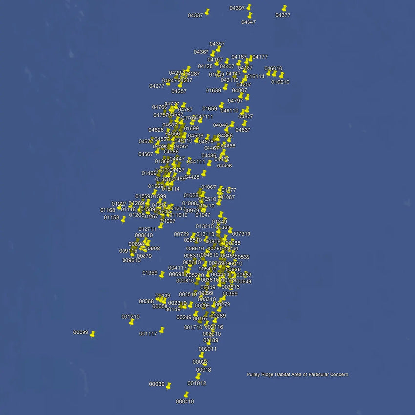Pulley Ridge Fishing Spots - GPS Maps & Numbers