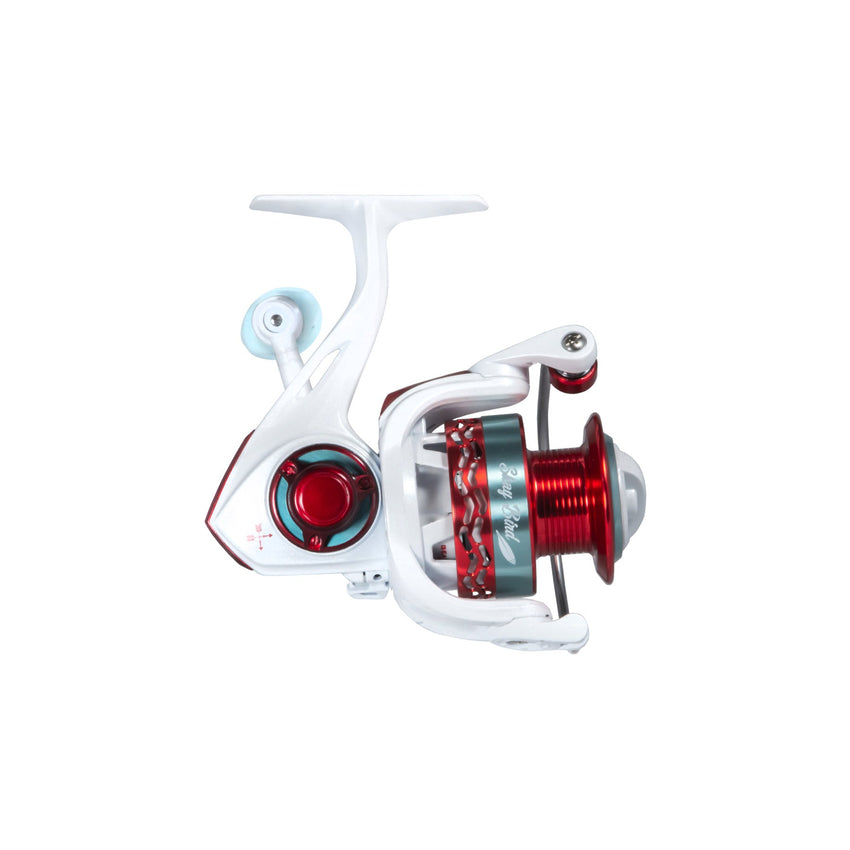 Shay Bird Spinning Combo
