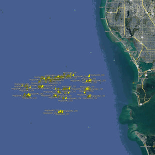 St. Petersburg Hogfish Fishing Spots - Numbers