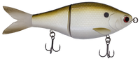 Sway GB - Gizzard Shad