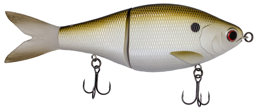 Sway GB - Gizzard Shad