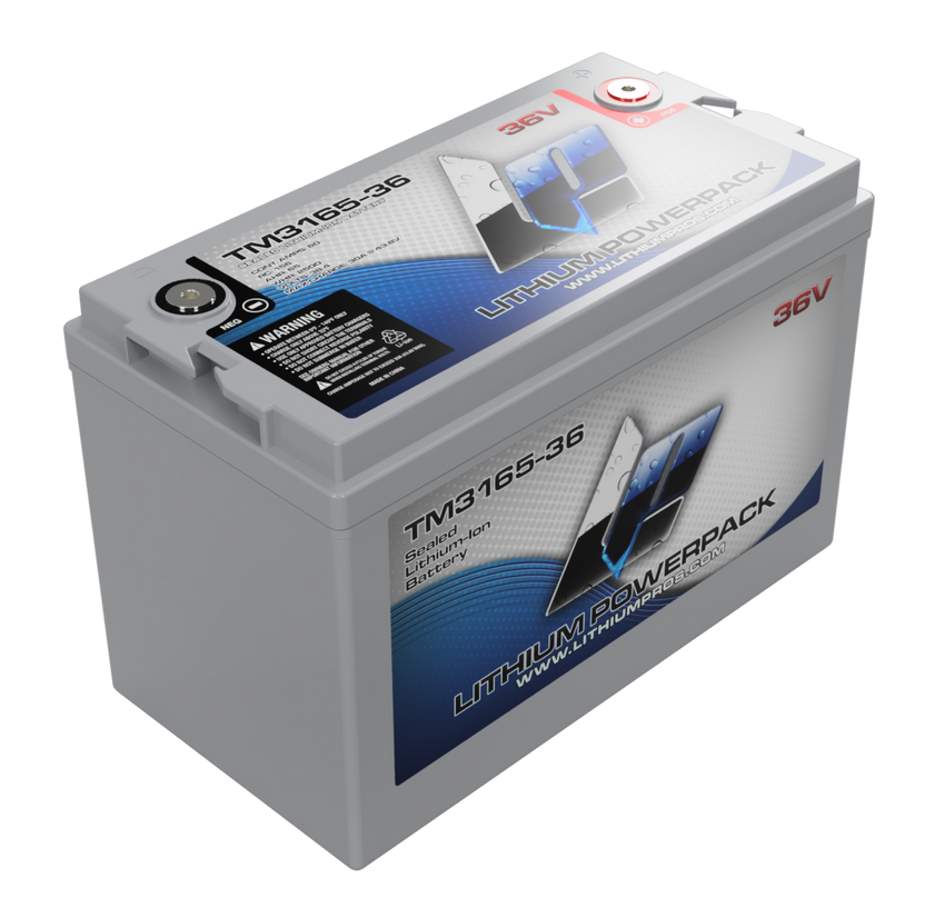 Lithium Pros TM3165-36 36V 65Ah BlueTooth Lithium Ion Trolling Battery
