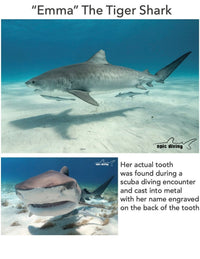 Emma” Tiger Shark Tooth Keychain - Sea Life Collection - Pewter
