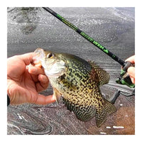 VEXAN® Crappie Rods & Panfish Rods