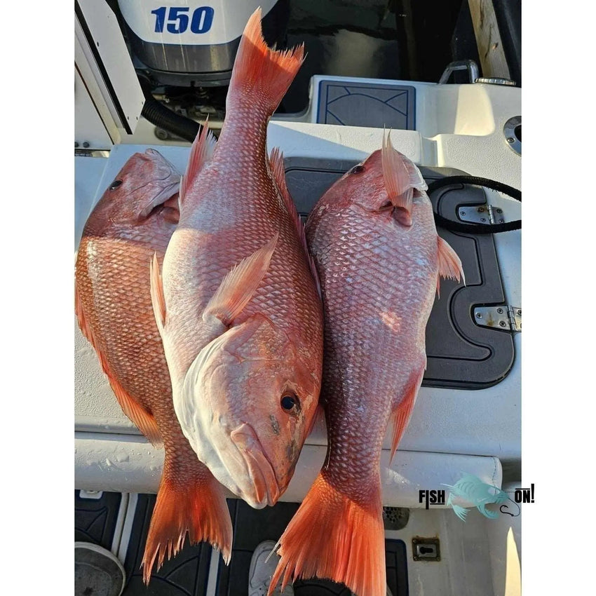 Sarasota Red Snapper Fishing Spots – GPS Numbers (Up to 922 Spots)
